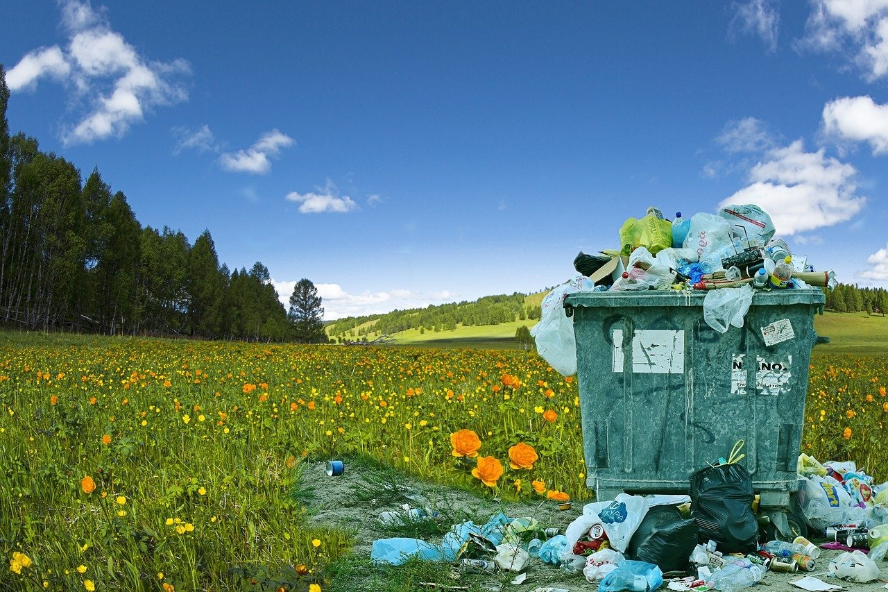 Comment le recyclage des canettes contribue à l'environnement ?